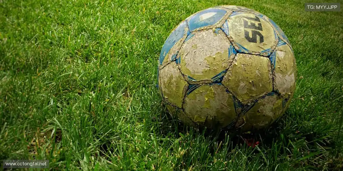 📱弹幕狂欢,实时互动!⚡️